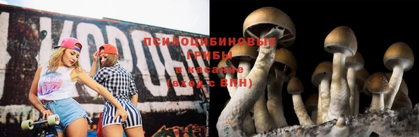 гашиш Богданович