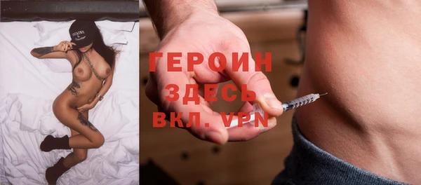 сатива Беломорск