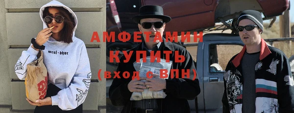 сатива Беломорск