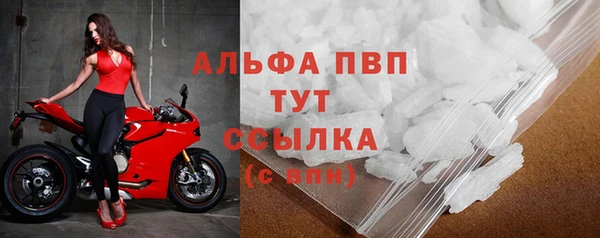 сатива Беломорск