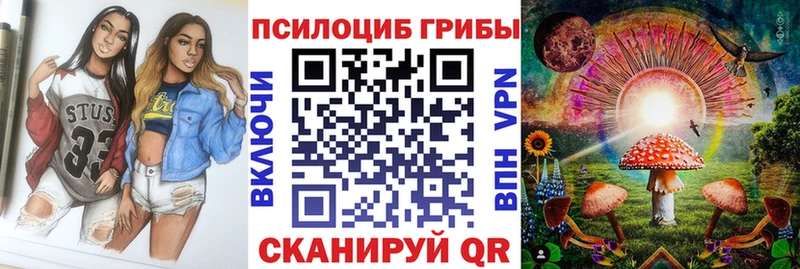 Галлюциногенные грибы GOLDEN TEACHER  цены наркотик  Катайск 